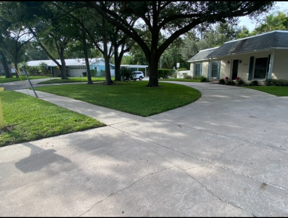 Freshly mowed residential lawn maintained by Randoms Lawn Care in Tampa Bay