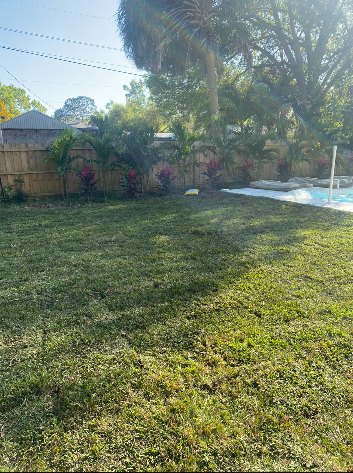 Fresh sod installation by Randoms Lawn Care in Tampa Bay
