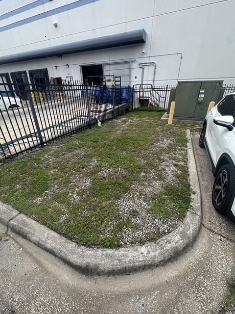 Curbed landscape strip at a Tampa Bay commercial building, overgrown with weeds and patchy grass beside a black metal fence and a parked car