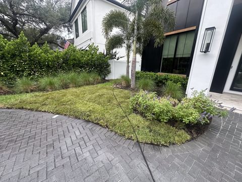 Entrada de autos de adoquines grises en espiga que rodea una isla de césped nuevo, con palmas y arbustos, frente a una casa moderna blanca en Tampa Bay