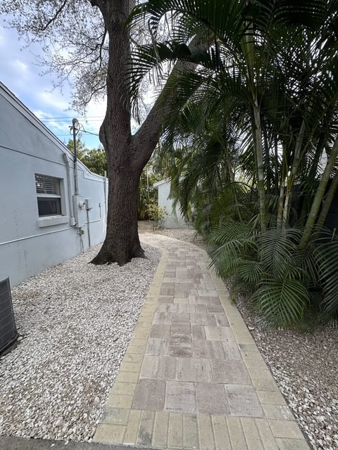 Camino angosto de adoquines con borde beige junto a una casa gris claro, entre piedra blanca y palmas tupidas bajo un roble grande, en Tampa Bay