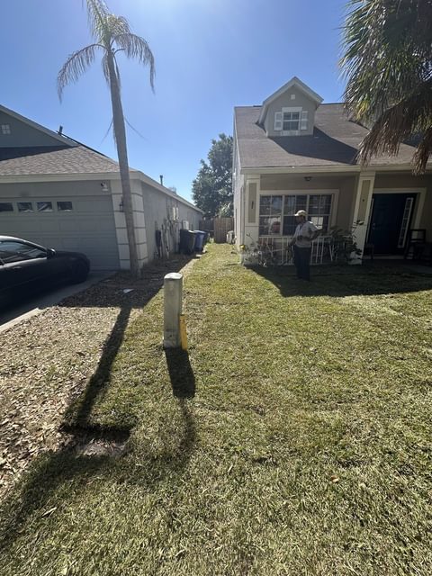 Jardín delantero con césped recién instalado frente a una casa de dos pisos con una palma alta, colocado alrededor de una caja blanca de servicios, en Tampa Bay